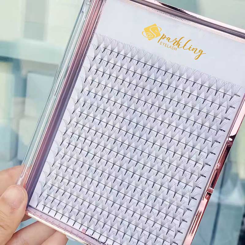 10D پری میڈ پنکھے 0.07mm C کرل 9-14mm مکس ٹرے