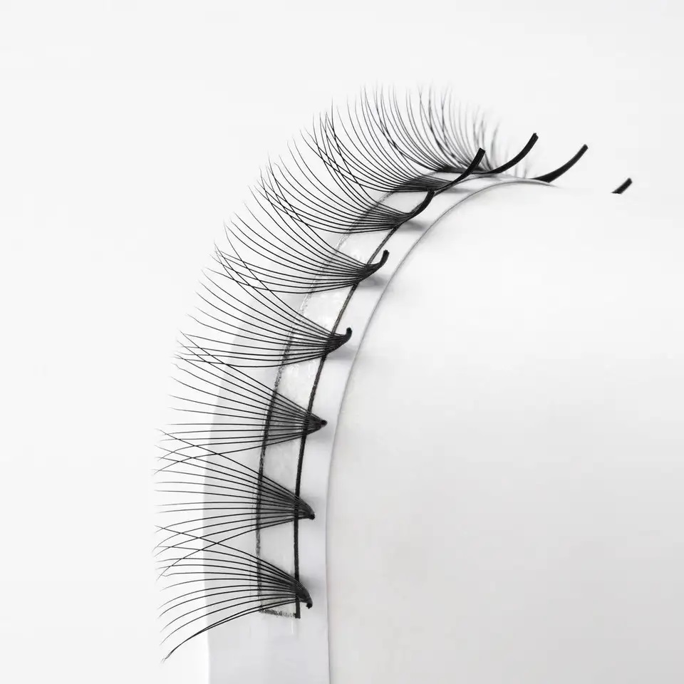 برونی کی توسیع
