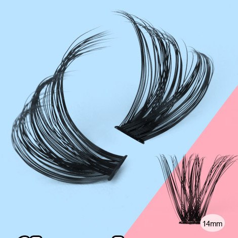سیگمنٹ برونی